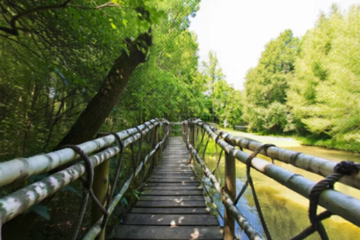 Wooden Bridge
